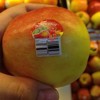 tem dan thuc pham 11