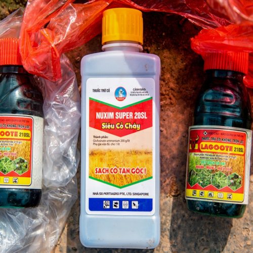 In tem nhãn hóa chất 7 In-tem-nhãn-hóa-chất-3