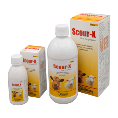 Thiet ke chua co ten