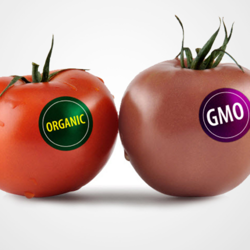 in-tem-dan-hoa-qua-2