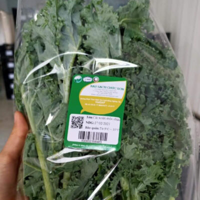 in-tem-dan-rau-sach-3