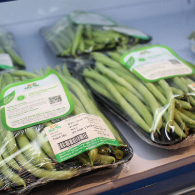 in-tem-dan-rau-sach-2