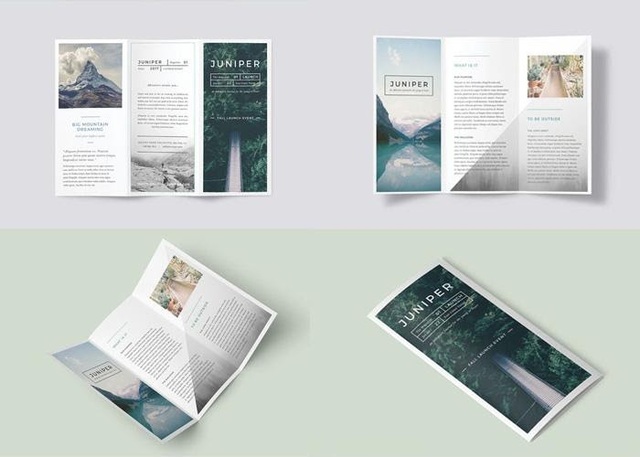 intamdat.com-in brochure